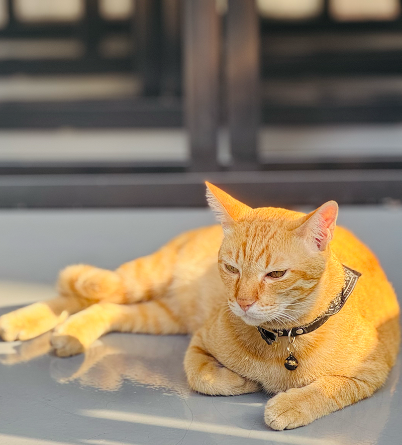 bkk